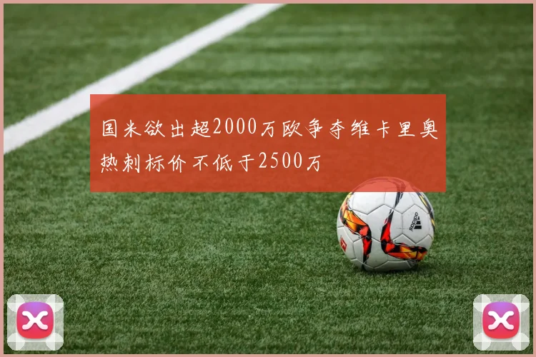 国米欲出超2000万欧争夺维卡里奥热刺标价不低于2500万