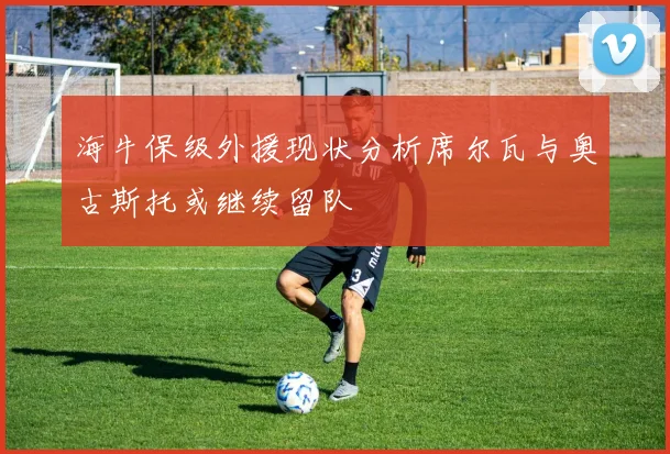 海牛保级外援现状分析席尔瓦与奥古斯托或继续留队